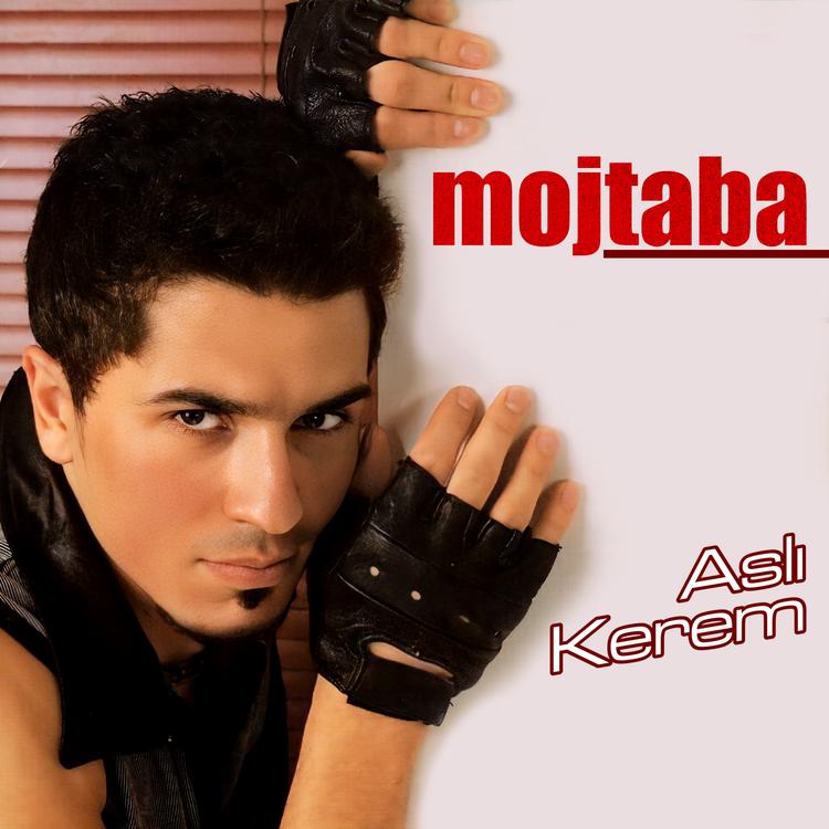 Mojtaba's avatar image