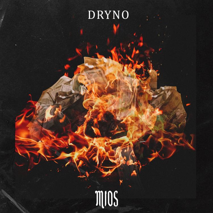 Dryno's avatar image