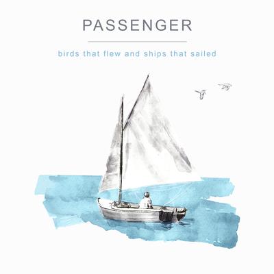 Bird in Flight By Passenger's cover