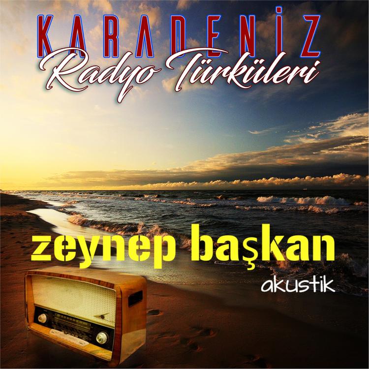 Zeynep Baskan's avatar image