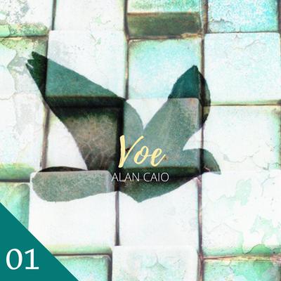 Voe (Acústico)'s cover