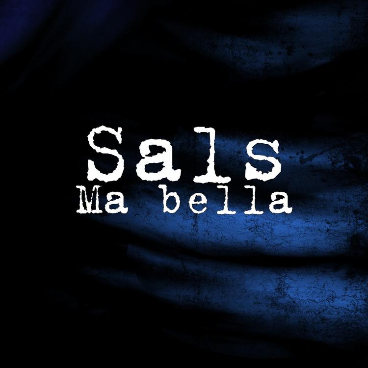 Sāls's avatar image
