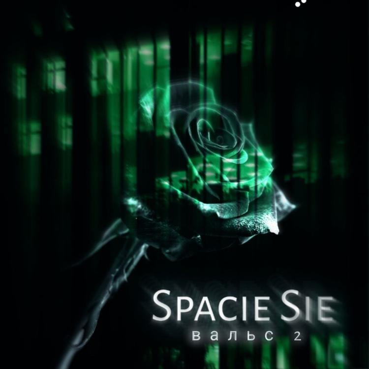 Spacie Sie's avatar image