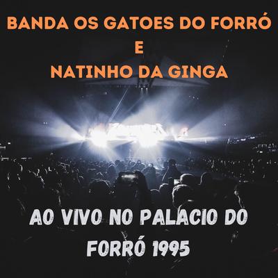 AO VIVO no palacio do forró 1995's cover
