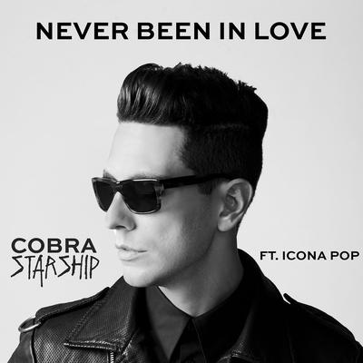 Cobra Starship's cover