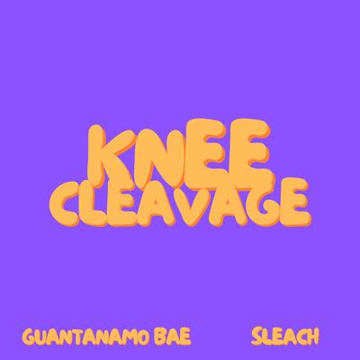 Knee Cleavage By Guantanamo Bae, Sleach's cover
