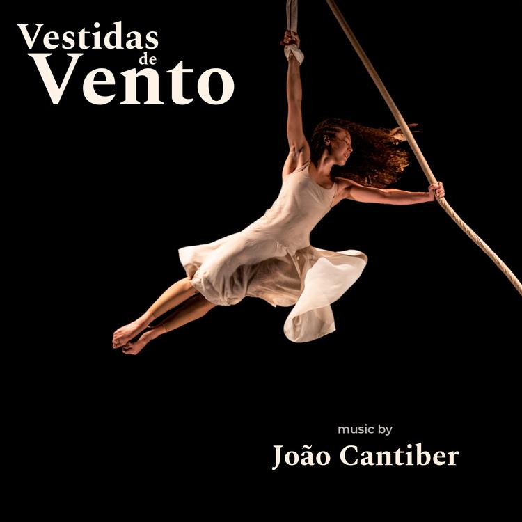 João Cantiber's avatar image