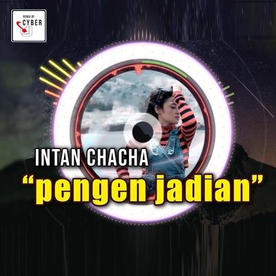 Pengen Jadian (Remix)'s cover