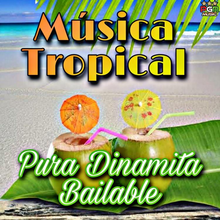 Musica Tropical's avatar image