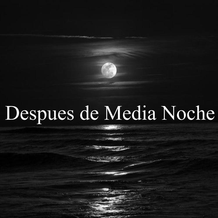 Media Noche's avatar image