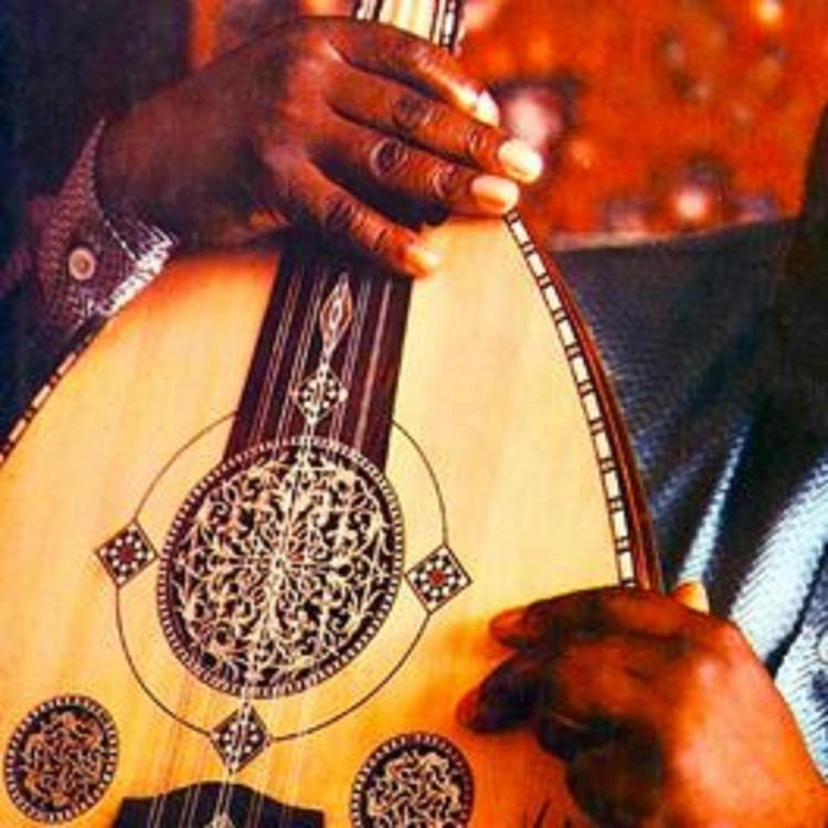 Cabdi Tahliil Warsame's avatar image