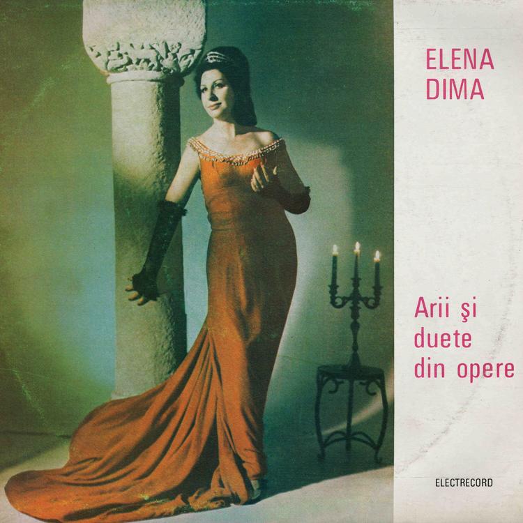 Elena Dima Toroiman's avatar image