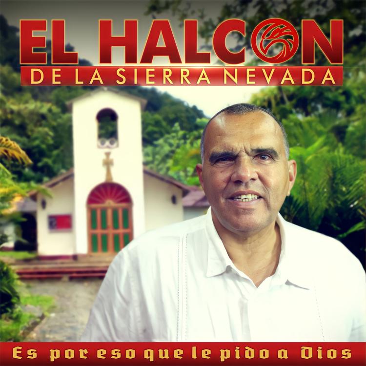 EL HALCON DE LA SIERRA NEVADA's avatar image