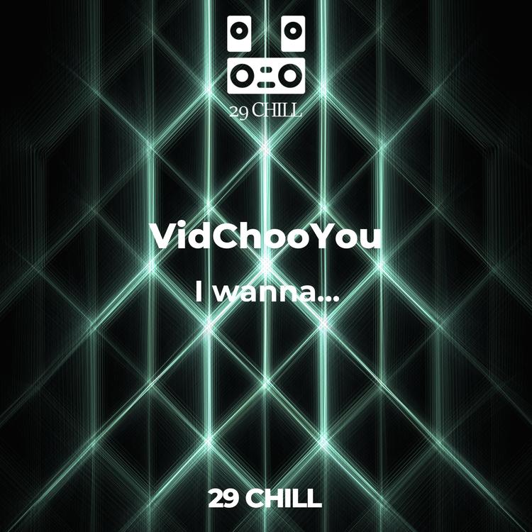 VidChooYou's avatar image