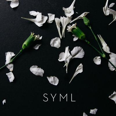 Meant to Stay Hid By SYML's cover