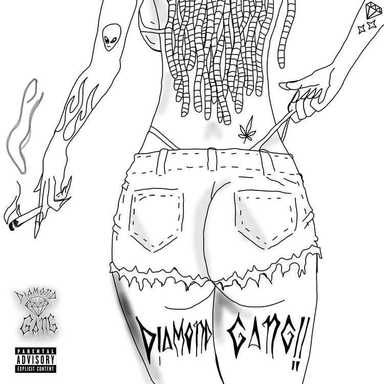Diamond Gang's avatar image