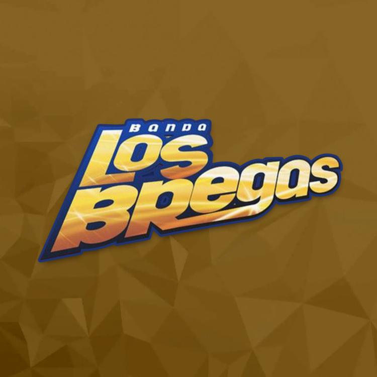 Banda Los Bregas's avatar image