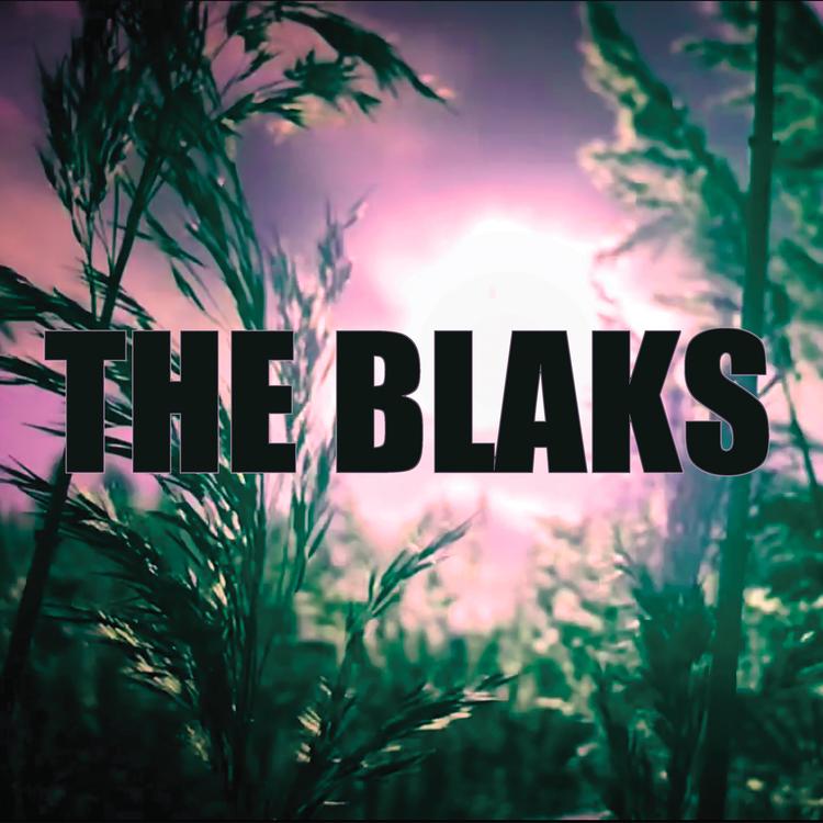 The BLAKS's avatar image