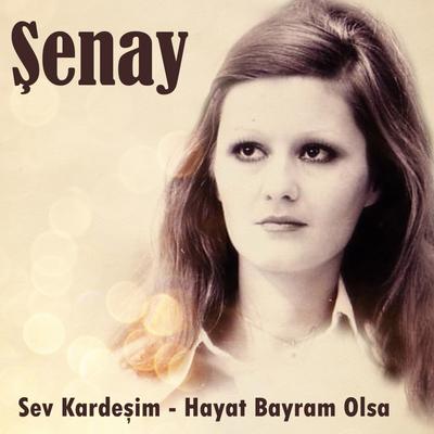 Honki Ponki By Şenay's cover