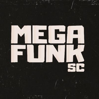 MEGA É SÓ UMA BOTADA By RITMO DE SC, Fluxo de Sc's cover