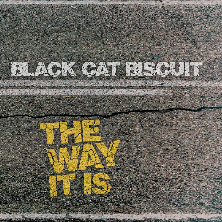 Black Cat Biscuit's avatar image