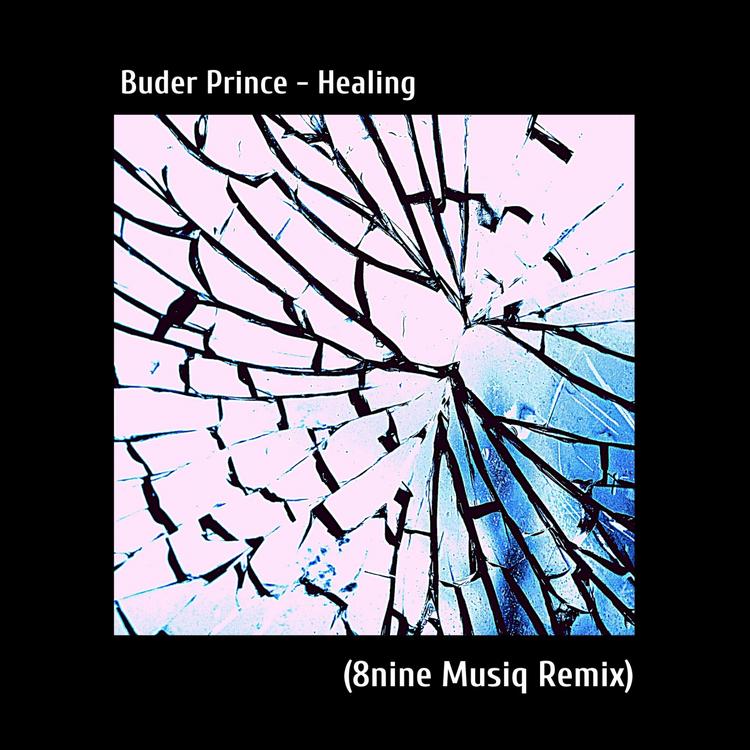 Buder Prince's avatar image