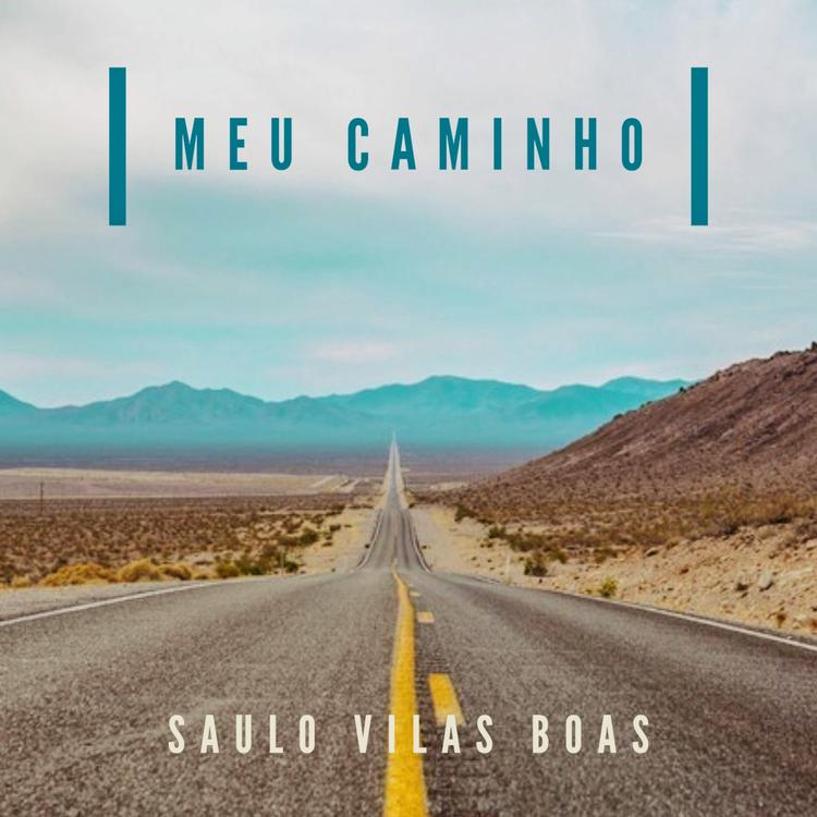 Saulo Vilas Boas's avatar image