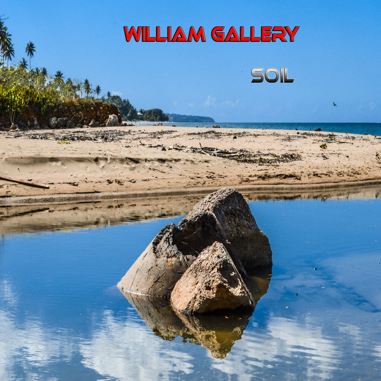 William Gallery's avatar image