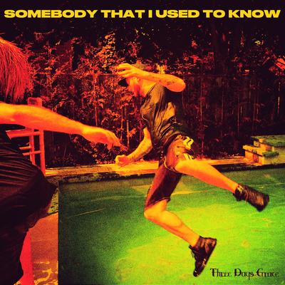 Somebody That I Used to Know By Three Days Grace's cover