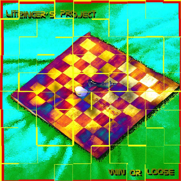 Litzinger's Project's avatar image