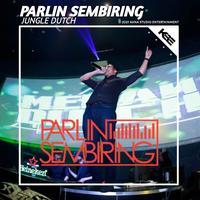 PARLIN SEMBIRING - PS's avatar cover