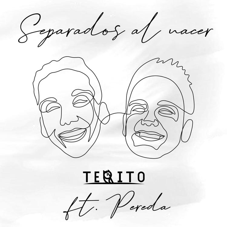 Terito's avatar image