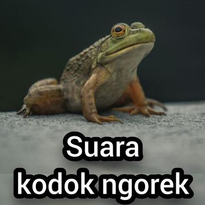 Suara Kodok Ngorek's cover