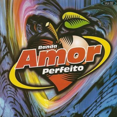 Vou Embora By Banda Amor Perfeito's cover