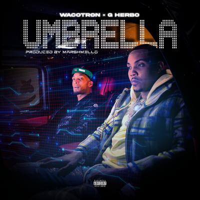 Umbrella's cover