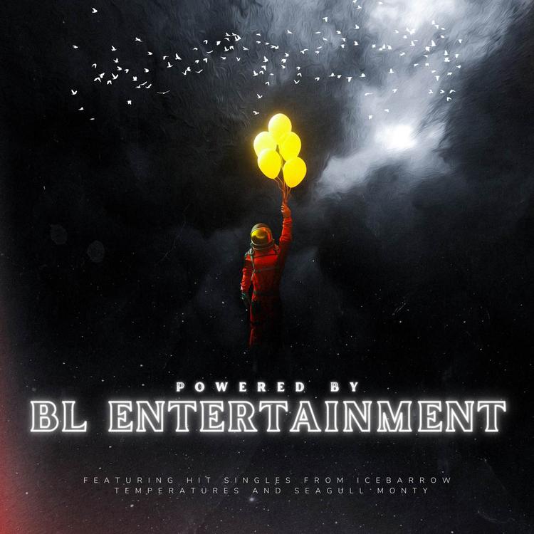 BL ENTERTAINMENT's avatar image