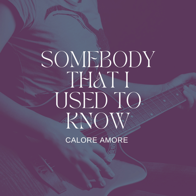 Somebody That I Used to Know By Calore Amore's cover