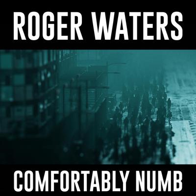 Comfortably Numb 2022 By Roger Waters's cover