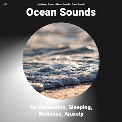 Relaxing Water Sounds for Sleeping's cover