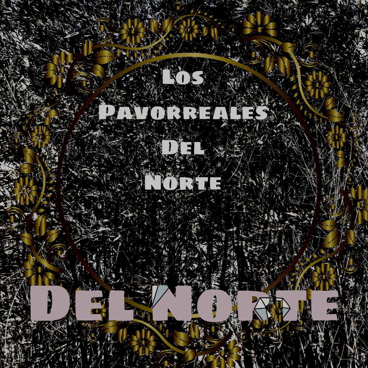 Los Pavorreales del Norte's avatar image