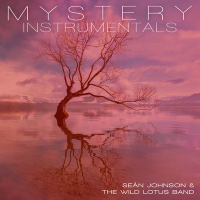 Sean Johnson & The Wild Lotus Band's cover