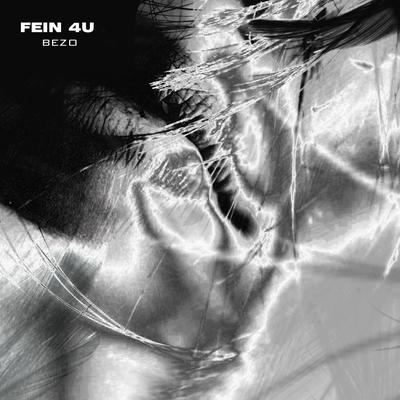 FEIN 4U's cover