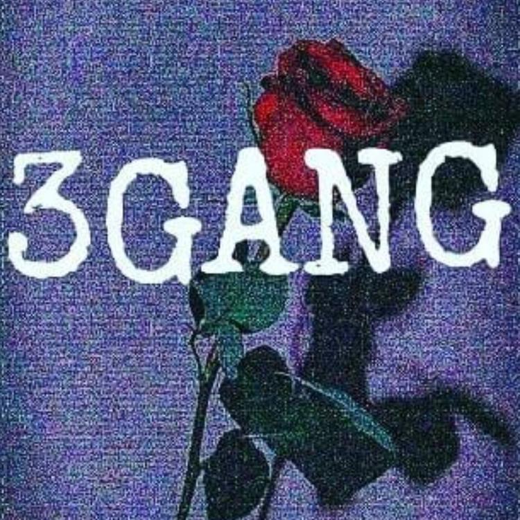 3 Gang's avatar image