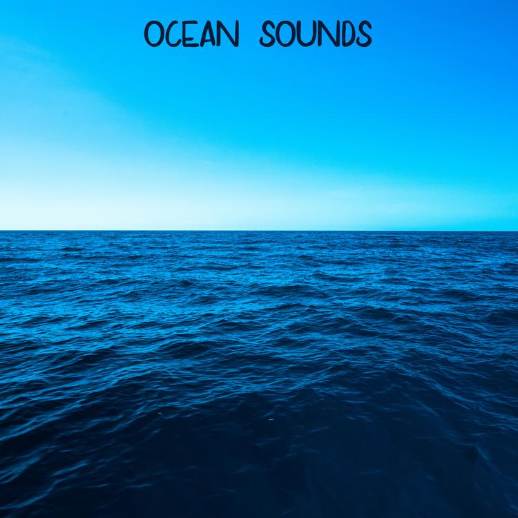 ASMR Ocean Sounds's avatar image