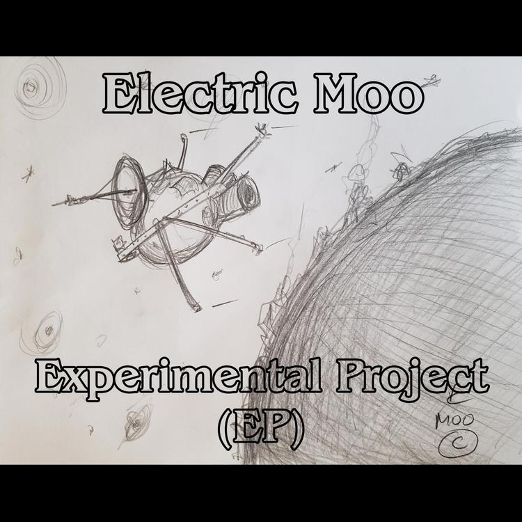 Electric Moo's avatar image