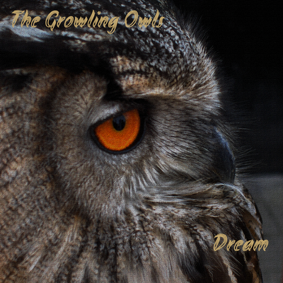 The Growling Owls's cover