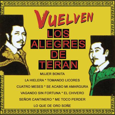 VUELVEN-LOS ALEGRES DE TERAN's cover