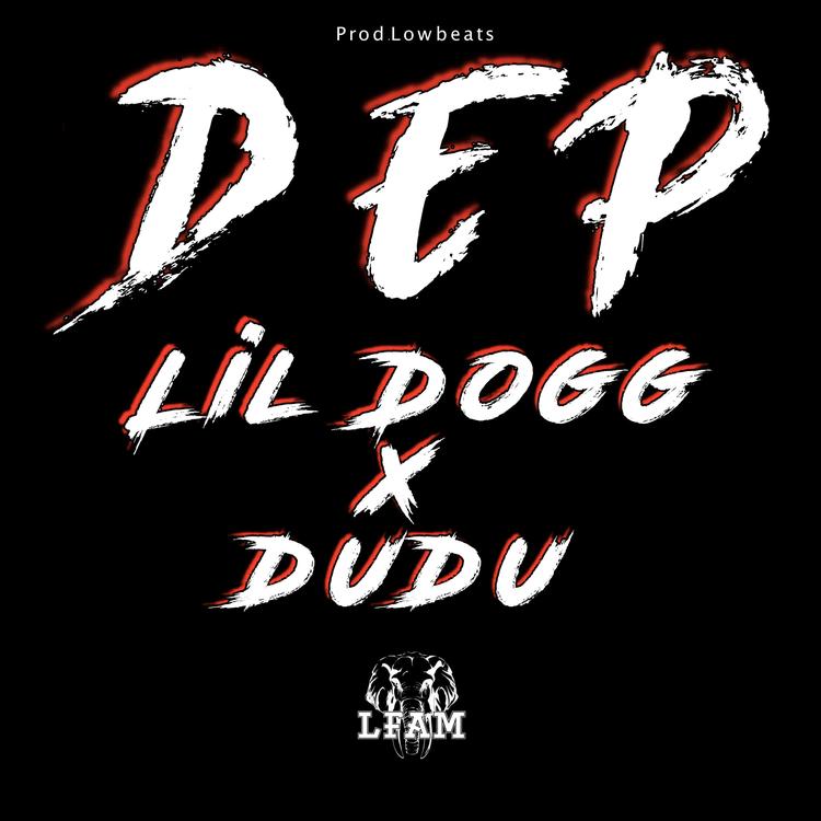 LFAM & Dudu feat. Lil dogg's avatar image
