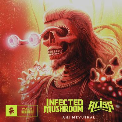 Ani Mevushal By Infected Mushroom, Bliss's cover