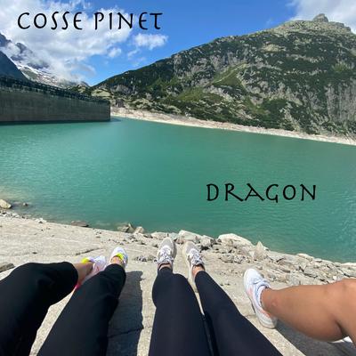 Booster By Cosse Pinet's cover